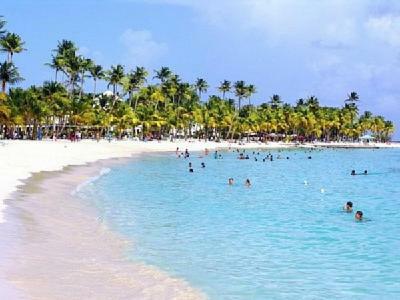 T1 D'alice Anne Centre * Sainte-Anne (Grande-Terre)