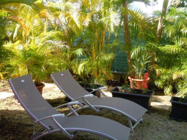 T1 D'alice Anne Centre Appartement *